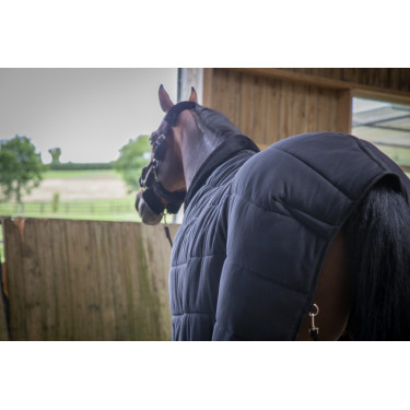 Unterdecke Paddock Sports Underblanket Unterdecke Paddock Sports Underblanket