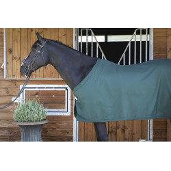 Hemd Paddock Sports Präsentation Grün Gr&uuml;n