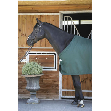 Hemd Paddock Sports Präsentation Grün Gr&uuml;n