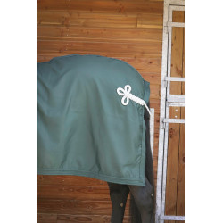 Hemd Paddock Sports Präsentation Grün Gr&uuml;n