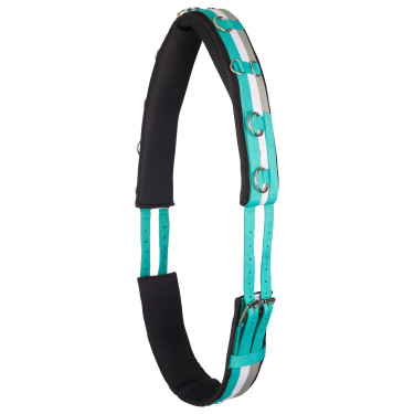Nylon-Arbeitsgurt Imperial Riding Deluxe Nylon-Arbeitsgurt Imperial Riding Deluxe