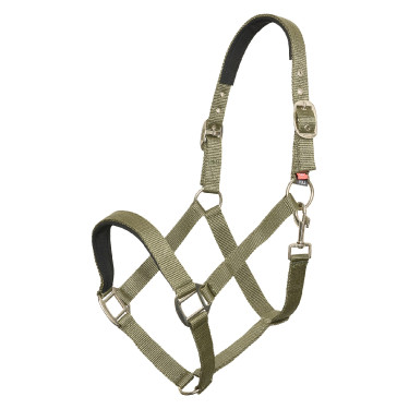 Halfter Imperial Riding Classic Sport Grüne Olive Grün Halfter Imperial Riding Classic Sport Grüne Olive Grün