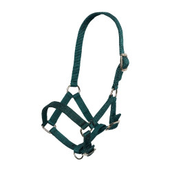 Fohlenhalfter aus Nylon mit verstellbarem Genick- und Nasenriemen Imperial Riding Waldgrün Gr&amp;amp;amp;amp;amp;amp;amp;am
