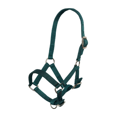 Fohlenhalfter aus Nylon mit verstellbarem Genick- und Nasenriemen Imperial Riding Waldgrün Gr&amp;amp;amp;amp;amp;amp;amp;am
