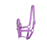 Fohlenhalfter Horze Spirit Violett Lila
