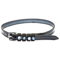 Sporenriemen aus Leder Imperial Riding Pardouz Marine / Metall Blau