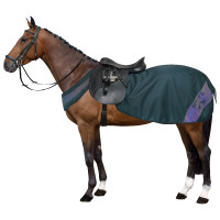 HV Polo L+ Abschwitzdecke leicht Essenz