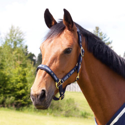 Halfter Hamptons Horze Blau