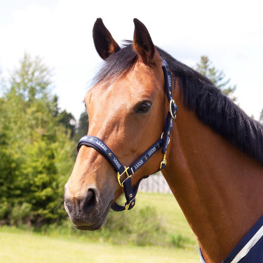 Halfter Hamptons Horze Blau