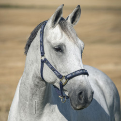 Halfter Hamptons Horze Blau