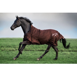 Paddockdecke Imperial Riding Super-dry 400gr Haselnuss Braun