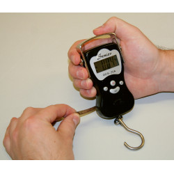 PESON DIGITAL DIGISCALE 50