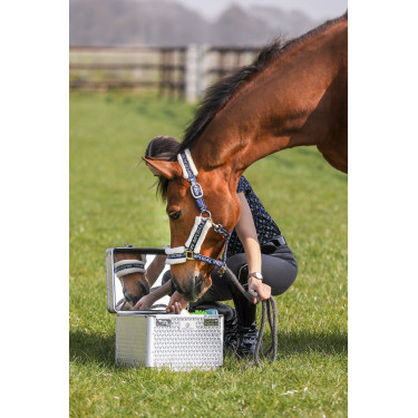 Putzbox Imperial Riding Shiny Silber