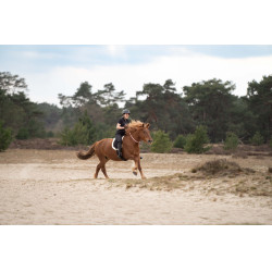 Halsriemen Imperial Riding Free Ride Halsriemen Imperial Riding Free Ride