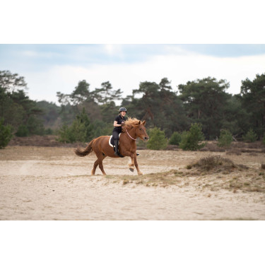 Halsriemen Imperial Riding Free Ride Halsriemen Imperial Riding Free Ride