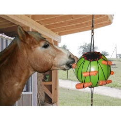 BALL ZUM SPIELEN BALL ZUM SPIELEN