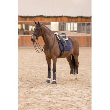 Glocken HV Polo Match Glocken HV Polo Match
