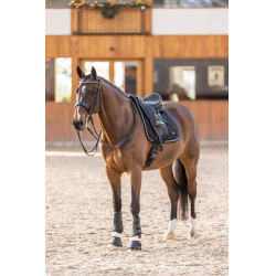 Glocken HV Polo Match Glocken HV Polo Match