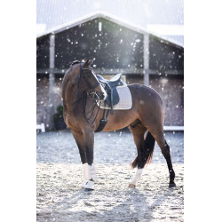 Glocken HV Polo Match Glocken HV Polo Match