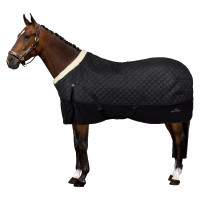 Stalldecke HV Polo Francis Schwarz