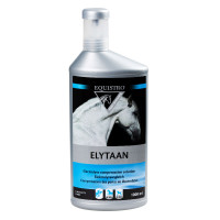 EQUISTRO ELYTAAN