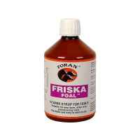 Friskal Fohlen Foran