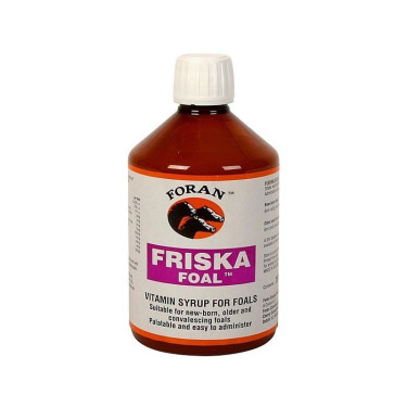 Friskal Fohlen Foran Friskal Fohlen Foran