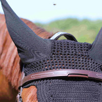 Trensenzaum mit Manet-Brücke T de T Dunkles Havanna Braun Trensenzaum mit Manet-Brücke T de T Dunkles Havanna Braun