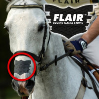 Flair Nasenstreifen Schwarz