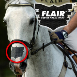 Flair Nasenstreifen Flair Nasenstreifen