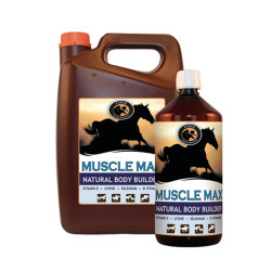 Muskel Max Foran Muskel Max Foran
