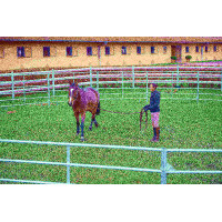 Pack verzinkte Paneele 3 m...