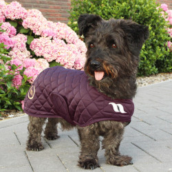 Hundemantel Back on Track® Night Collection Bordeaux Hundemantel Back on Track® Night Collection Bordeaux