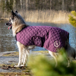 Hundemantel Back on Track® Night Collection Bordeaux Hundemantel Back on Track® Night Collection Bordeaux