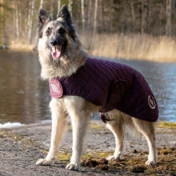 Hundemantel Back on Track® Night Collection Bordeaux Hundemantel Back on Track® Night Collection Bordeaux