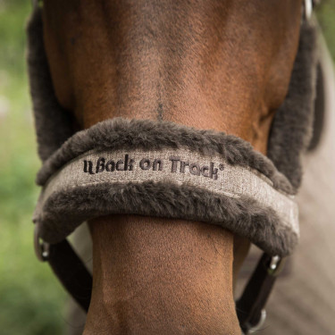 Halfter Back on Track Haze Collection Halfter Back on Track Haze Collection