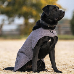 Hundemantel Back on Track® Haze Collection Grau