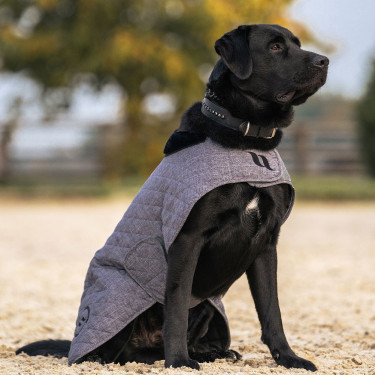 Hundemantel Back on Track® Haze Collection Grau