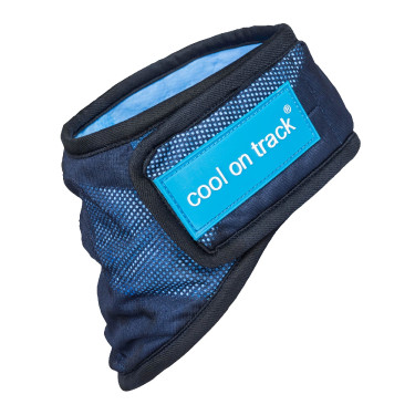 Kühlendes Bandana Cool on Track Back on Track Kühlendes Bandana Cool on Track Back on Track