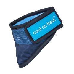 Kühlendes Bandana Cool on Track Back on Track Blau Kühlendes Bandana Cool on Track Back on Track Blau
