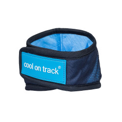 Kühlendes Bandana Cool on Track Back on Track Blau Kühlendes Bandana Cool on Track Back on Track Blau