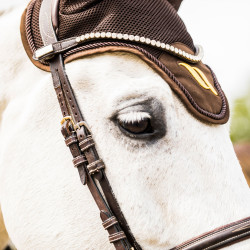 Luchtstroomkap Back on Track Braun