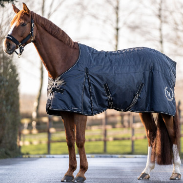 Boxdecke Back on Track Millie 200g Schwarz Boxdecke Back on Track Millie 200g Schwarz