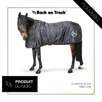 Boxdecke Millie Back on...