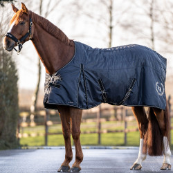 Boxdecke Millie Back on Track 100g