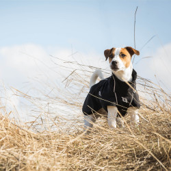 Vielseitiger Hundemantel Bark Back on Track Vielseitiger Hundemantel Bark Back on Track