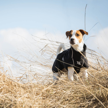 Vielseitiger Hundemantel Bark Back on Track Vielseitiger Hundemantel Bark Back on Track