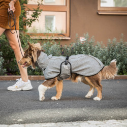 Vielseitiger Hundemantel Nella Back on Track Vielseitiger Hundemantel Nella Back on Track
