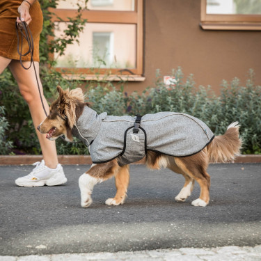 Vielseitiger Hundemantel Nella Back on Track Vielseitiger Hundemantel Nella Back on Track