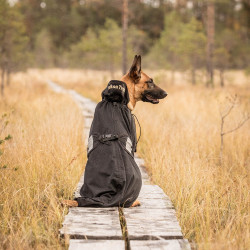Manteau filet pour chien Back on Track Noir